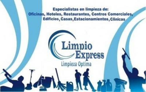 SERVICIO DE LIMPIEZA PROFESIONAL A DOMICILIO  - Imagen 1
